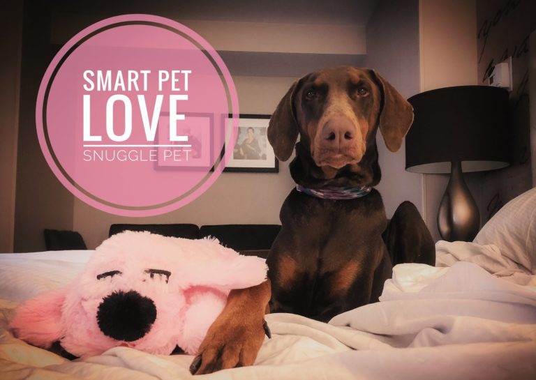 smart pet love snuggle puppy black