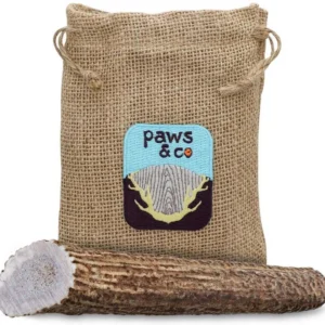 Paws & Co
