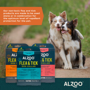 ALZOO