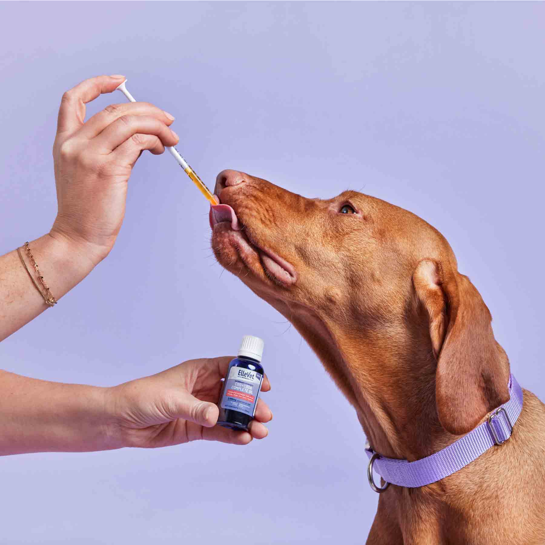 EV_PDP_Administration_P3